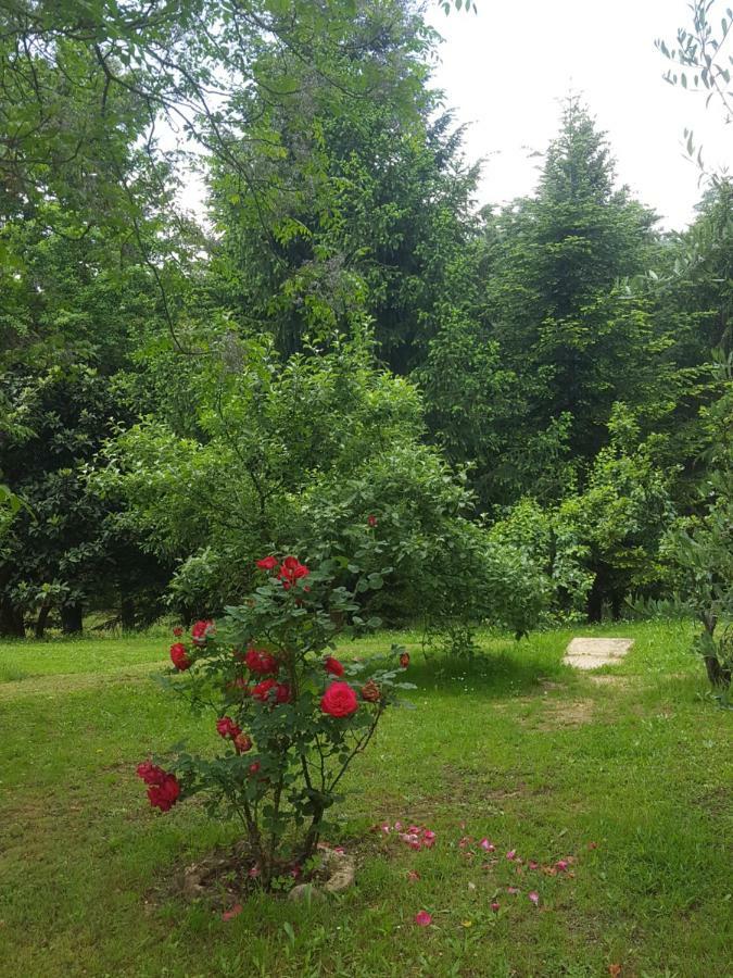 La Casa Della Quercia Guest House Lorenzana Eksteriør bilde