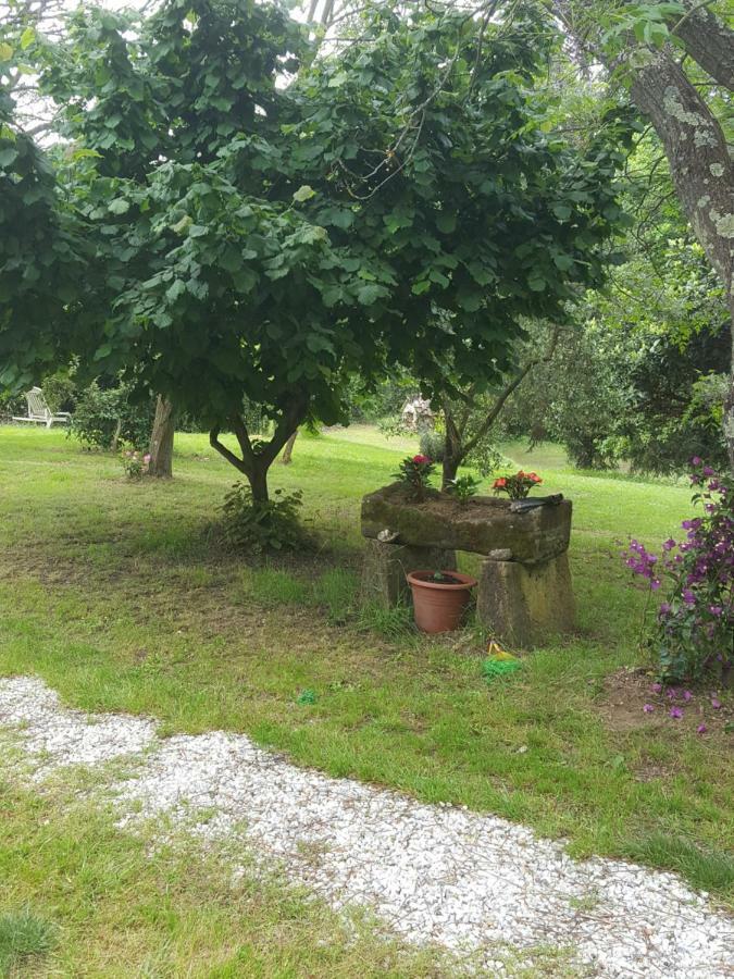 La Casa Della Quercia Guest House Lorenzana Eksteriør bilde