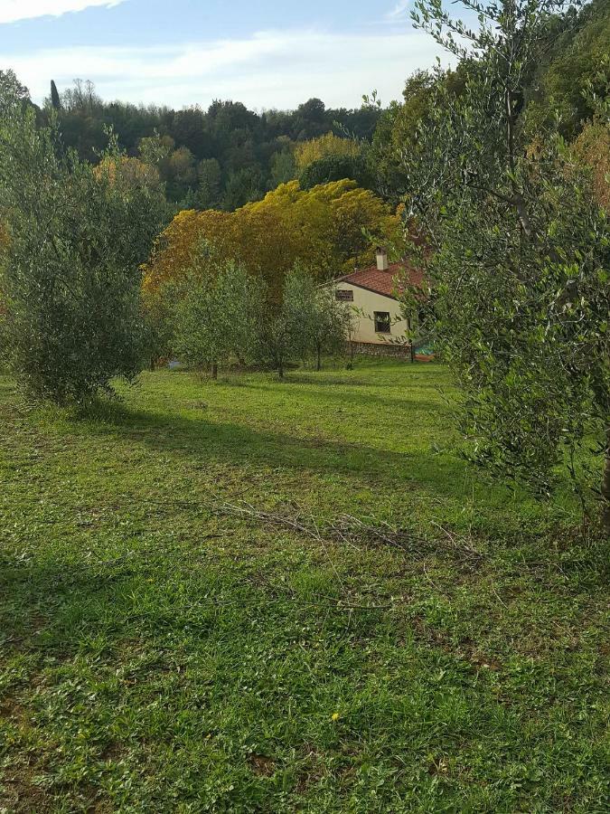 La Casa Della Quercia Guest House Lorenzana Eksteriør bilde